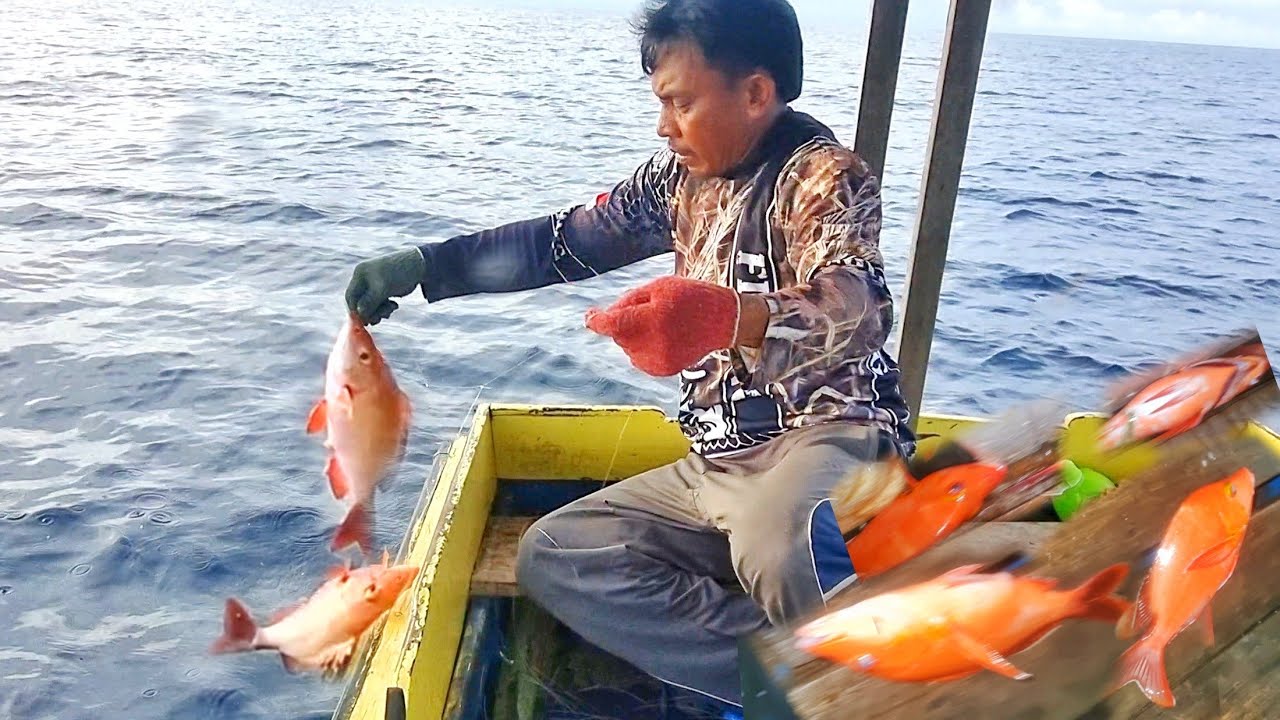 COBA DARI AWAL  PAKAI RANGKAIAN PANCING 3 MATA KAIL PASTI LEBIH PANEN