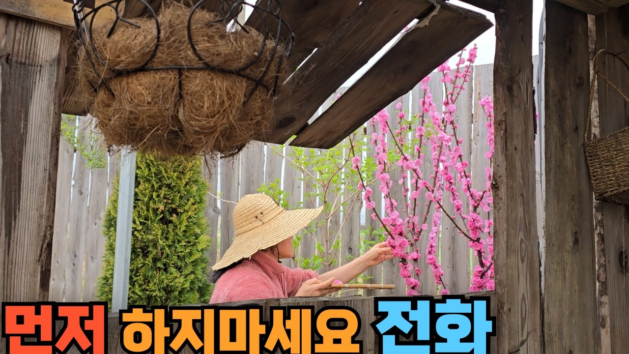 자식이 연락 안 한다면&hellip; 먼저 하지 마세요 (이유는 단순합니다)