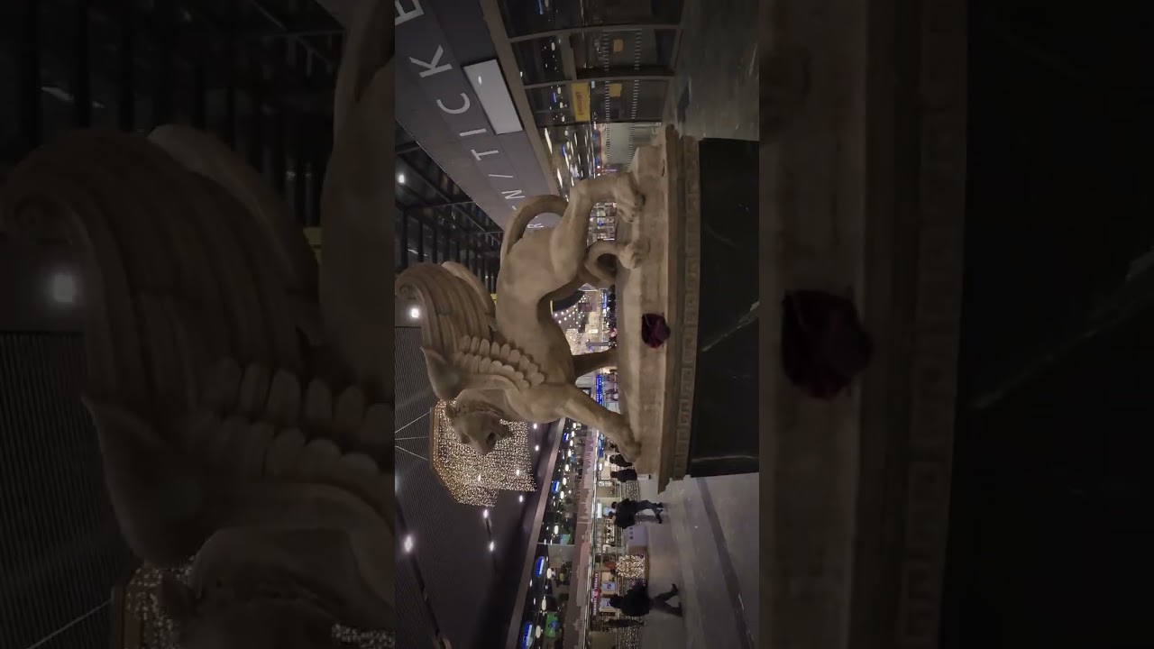 💫 “City of Echoes: Vienna’s Golden Charm Uncovered ✨🎶