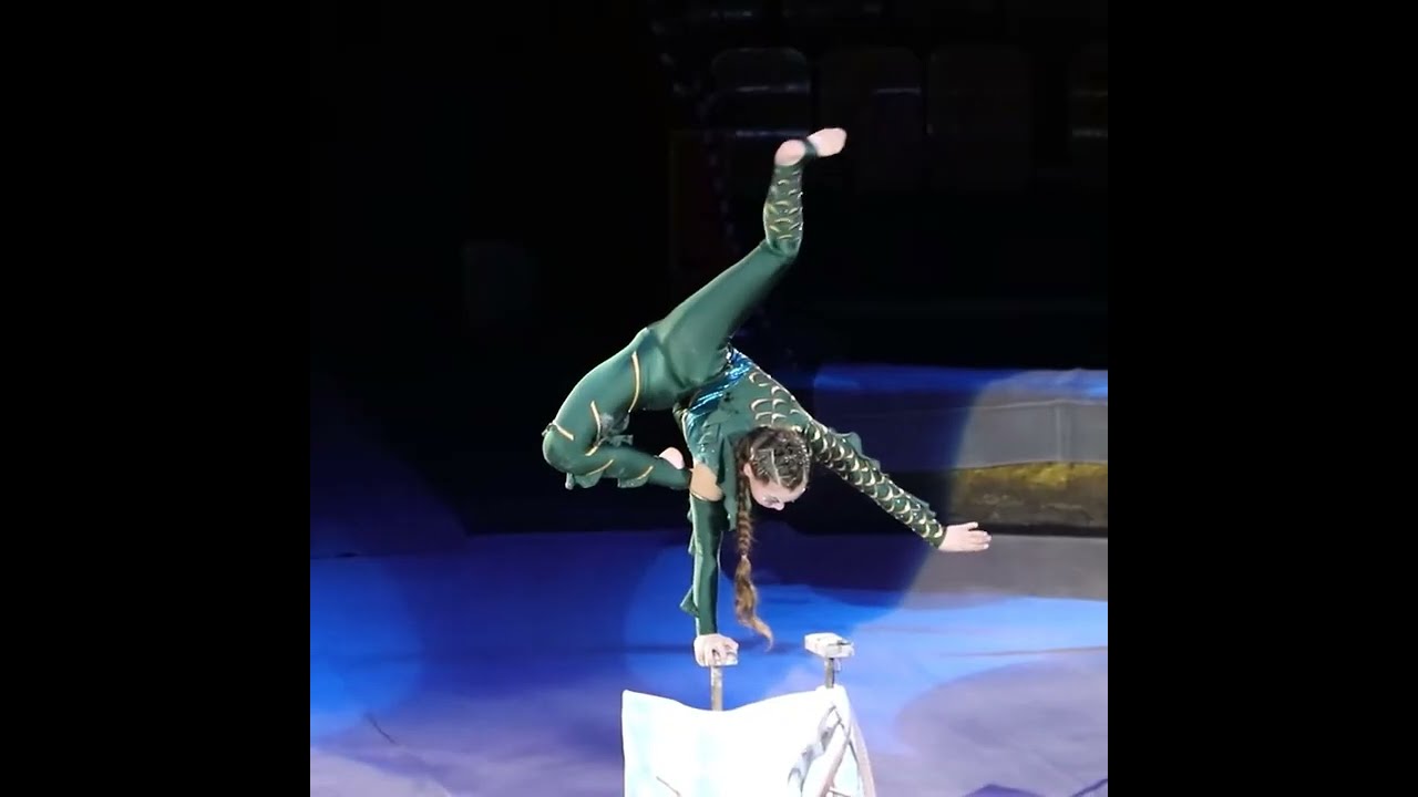 World Live Circus Gymnastics Show