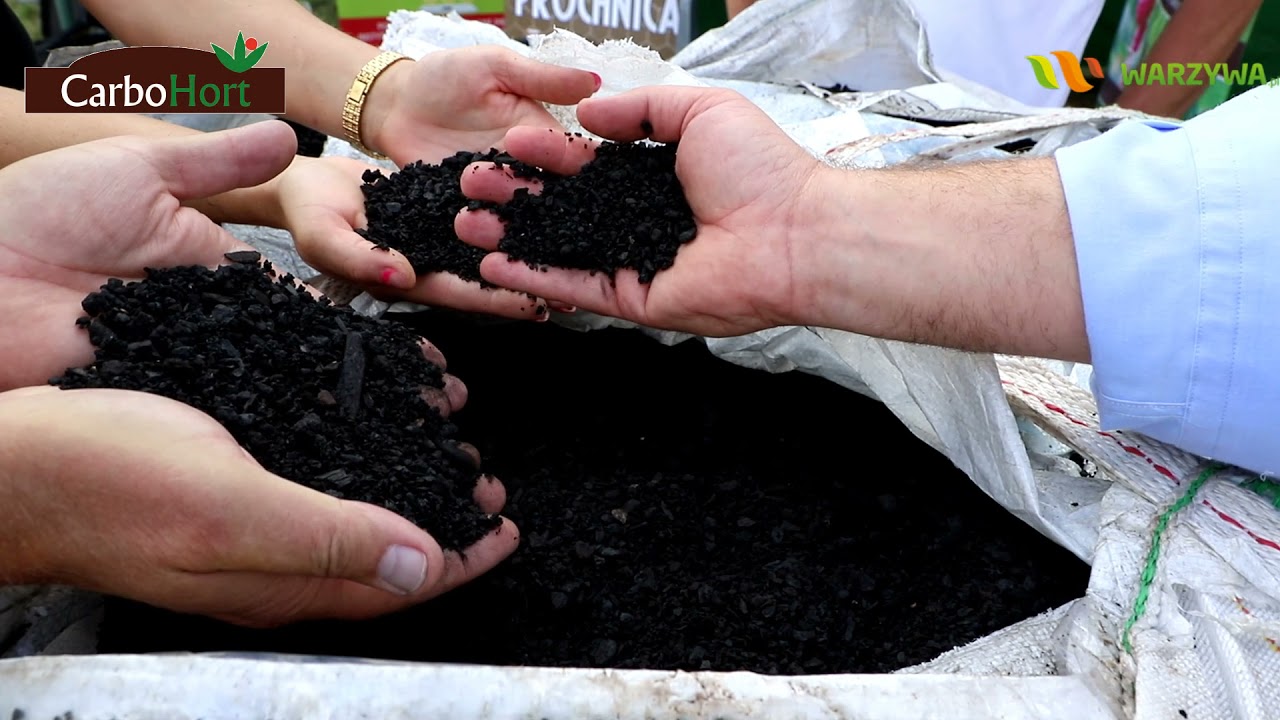 Zastosowanie dodatku do gleby na bazie węgla brunatnego CARBOMAT ECO w uprawie warzyw