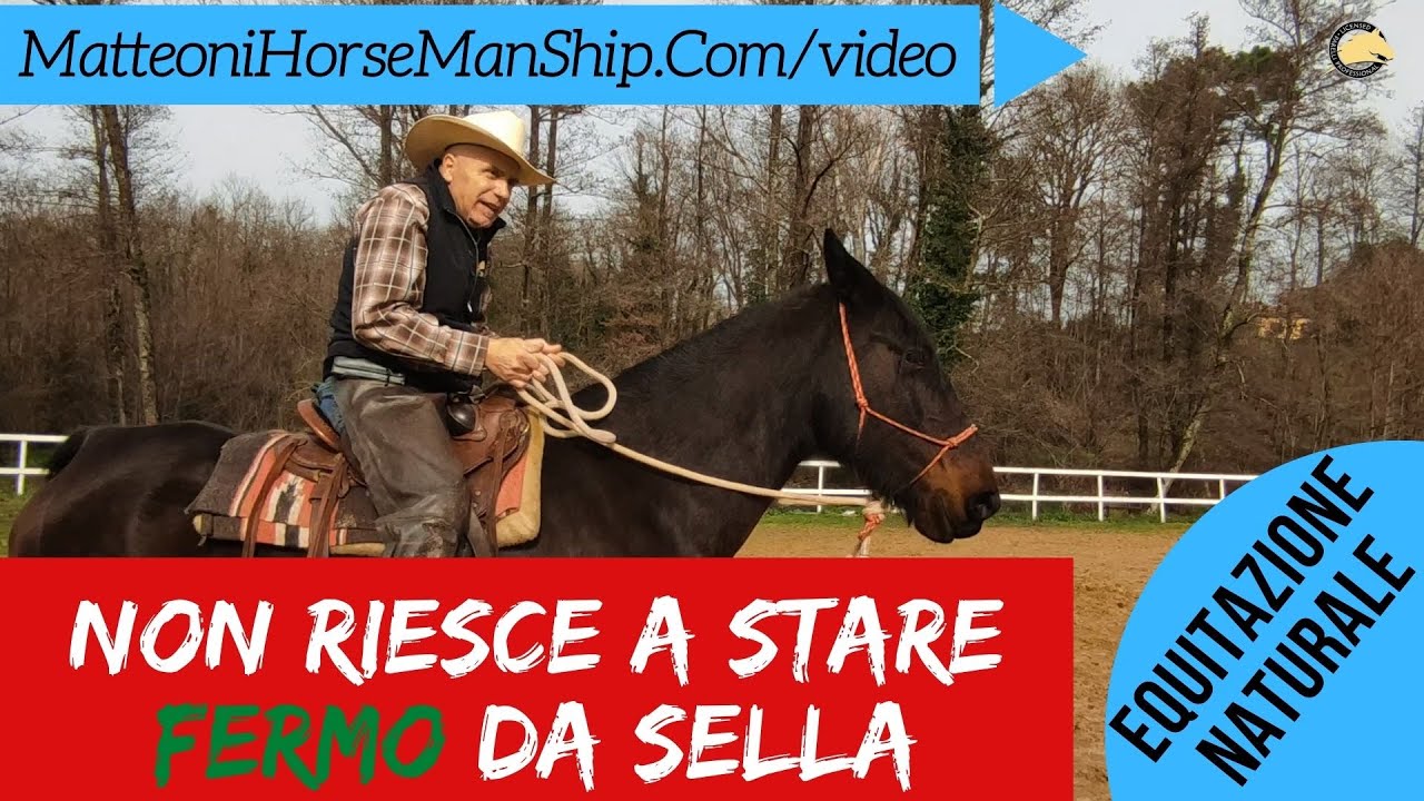 Non riesce a stare fermo da sella