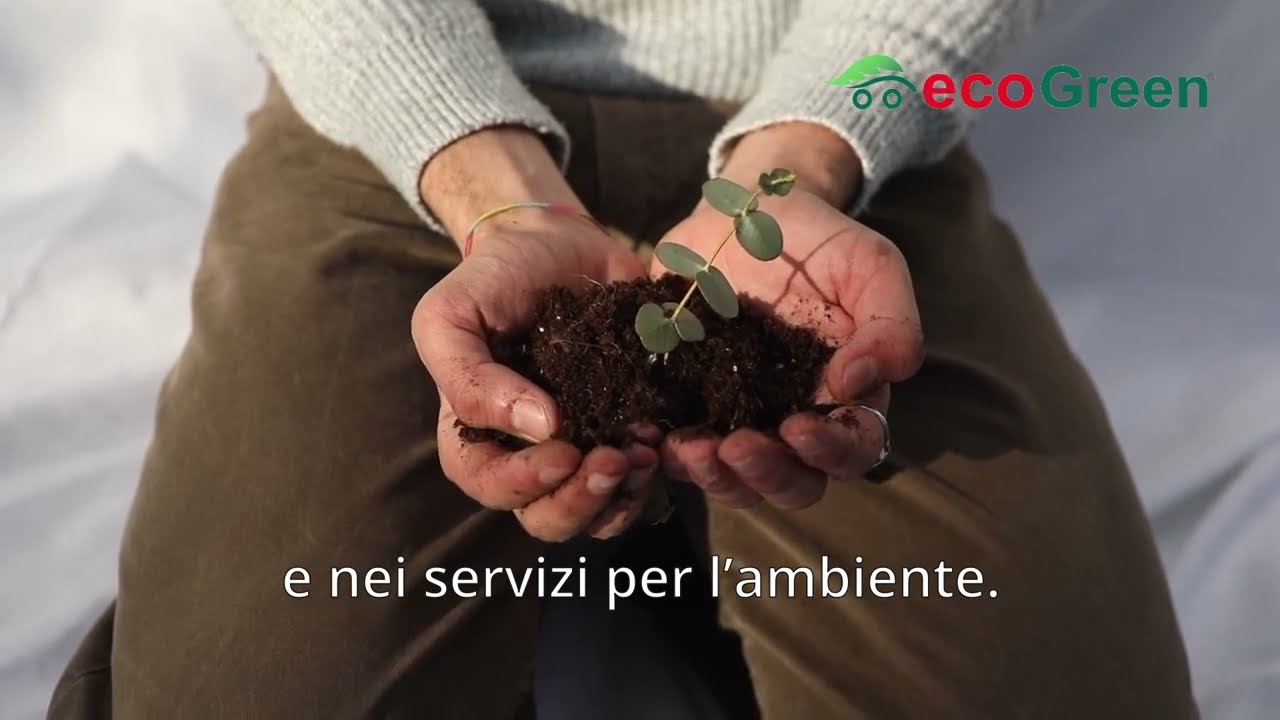 Smaltimento e trasporto di rifiuti edili e industriali per l'economia circolare. Eco Green