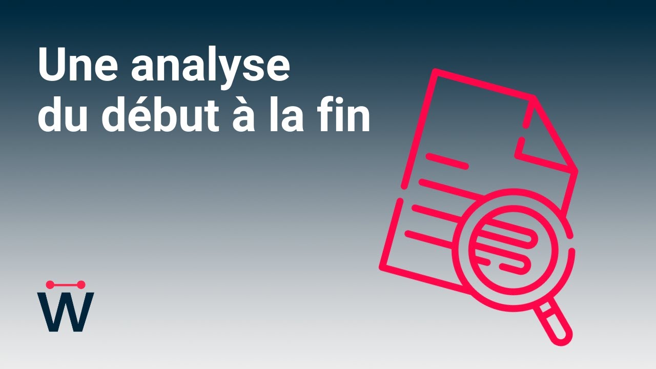 Conseil #2 pour créer une campagne efficace : Une analyse du début à la fin // Wild Dots