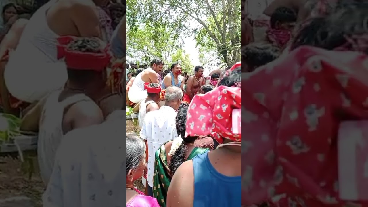 நடுப்பாளையம் அண்ணமார் சாமி ஆட்டம்