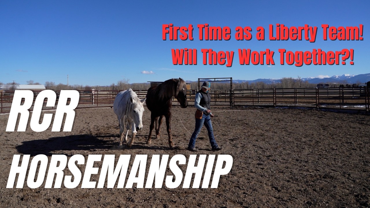 Liberty Teams: June and Utah First Teamed Session 