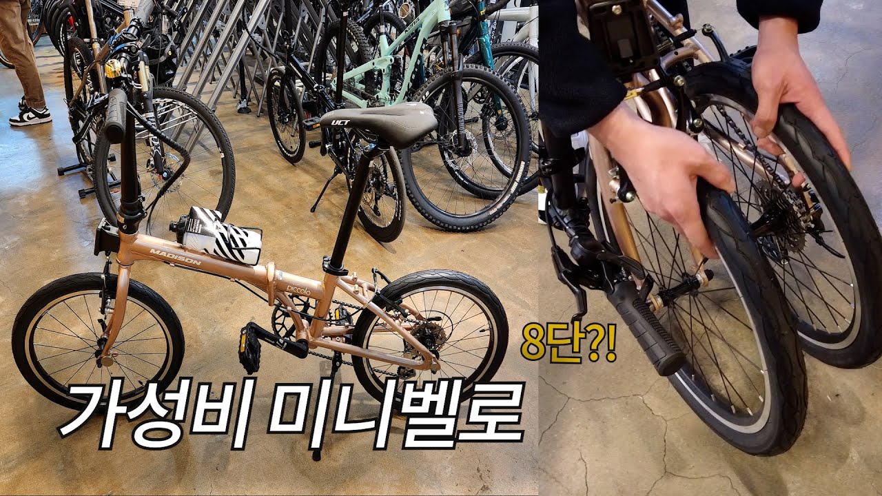 저 미니벨로 사려고요......(협찬x, 광고x)
