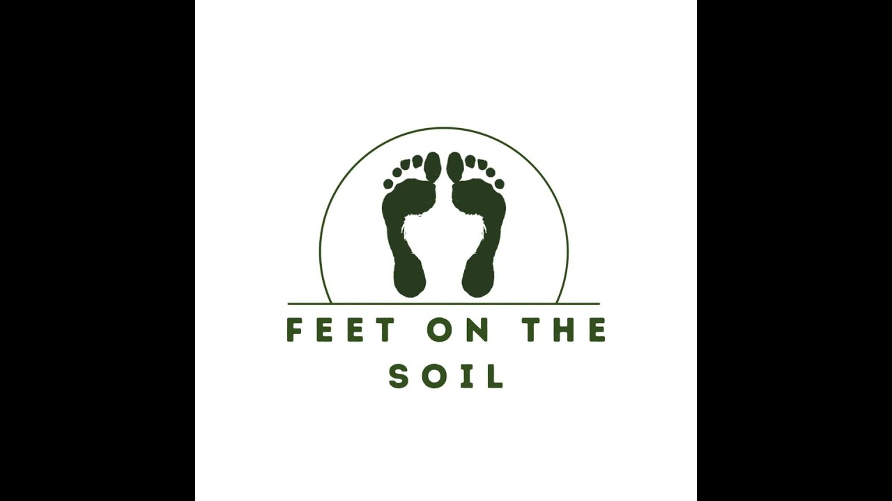 Exploring Dublin’s River Dodder: History, Culture, and Conservation