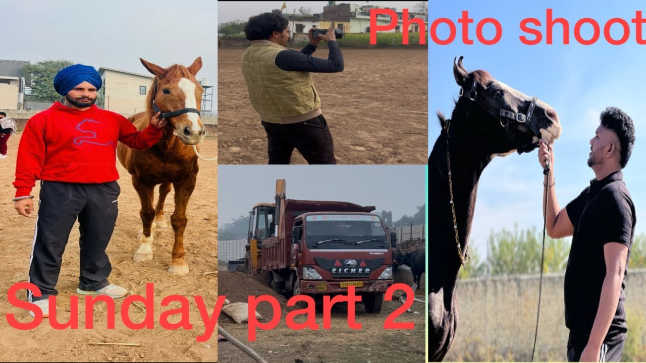 Sunday part 2 photo Shoot time 🐎📸🎥