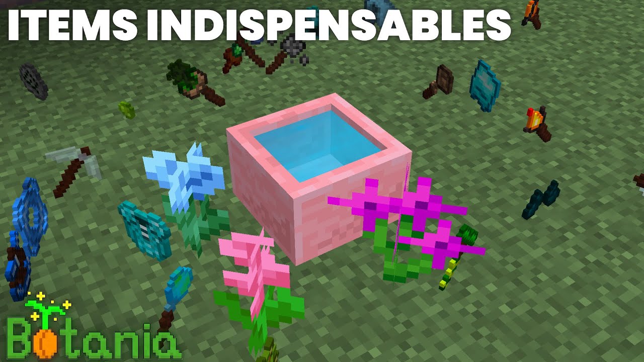 Les Items indispensables | Guide Botania 05