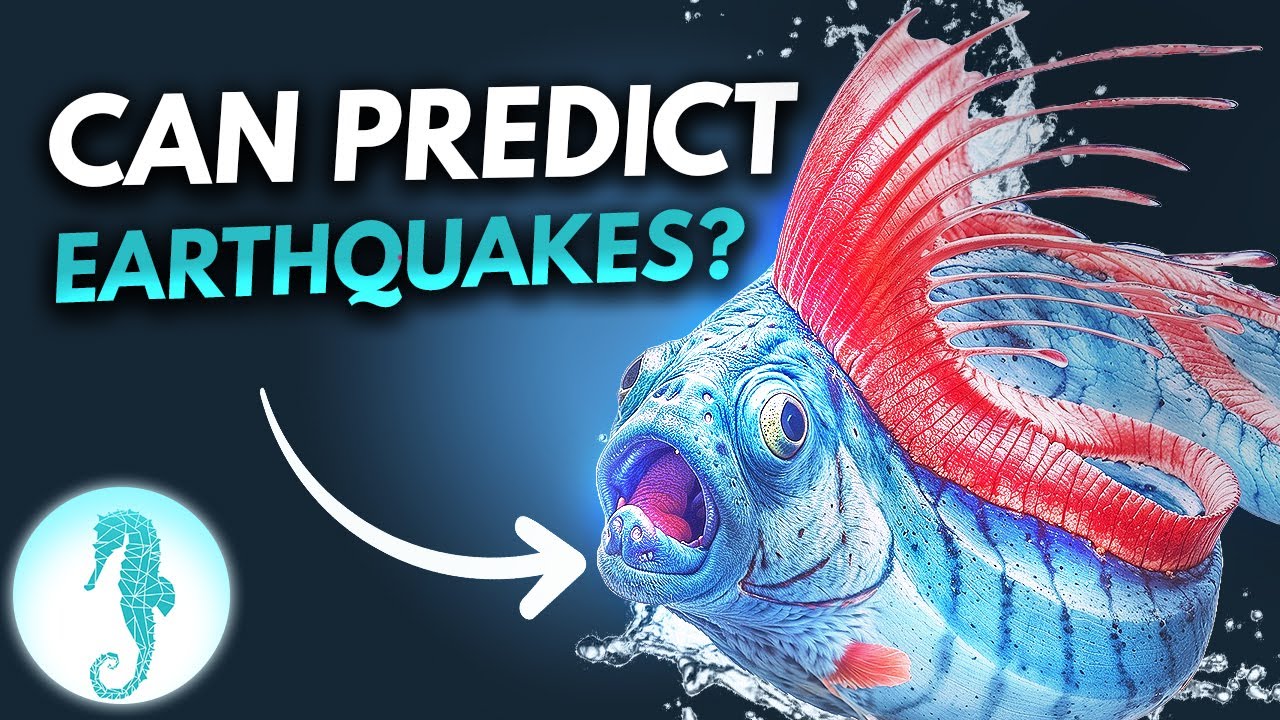 The Deep Sea Doomsday Fish That Predicts Disasters! 😱