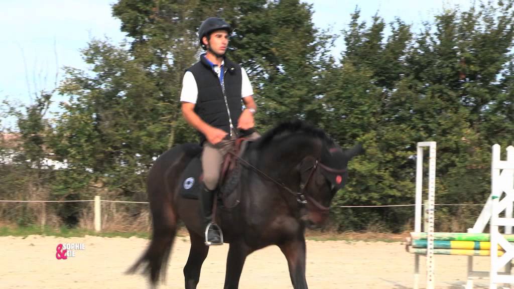 Mon cheval en mode stretching - Equidia Life