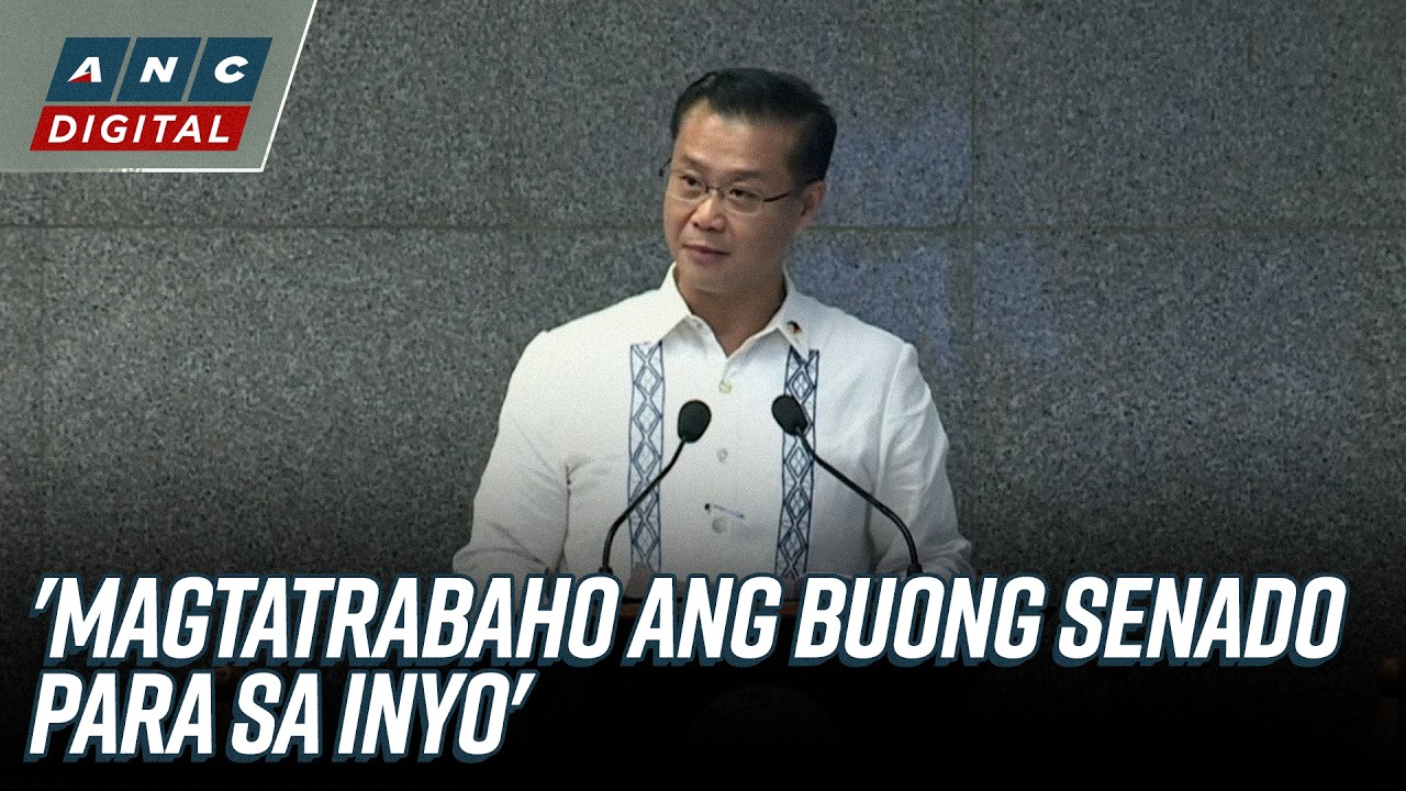 WATCH: Newly-elected SP Sherwin Gatchalian addresses fellow senators | ANC