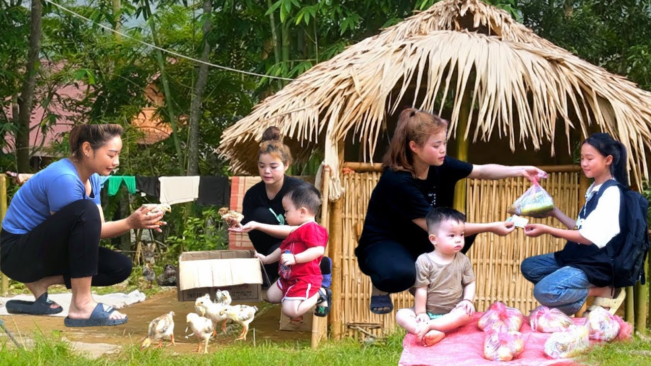Facing life’s challenges: Single mom starts again with a flock of chickens