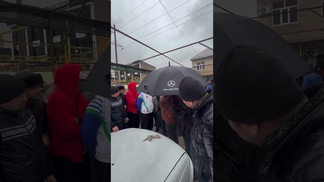 5 февраля 2026 г.