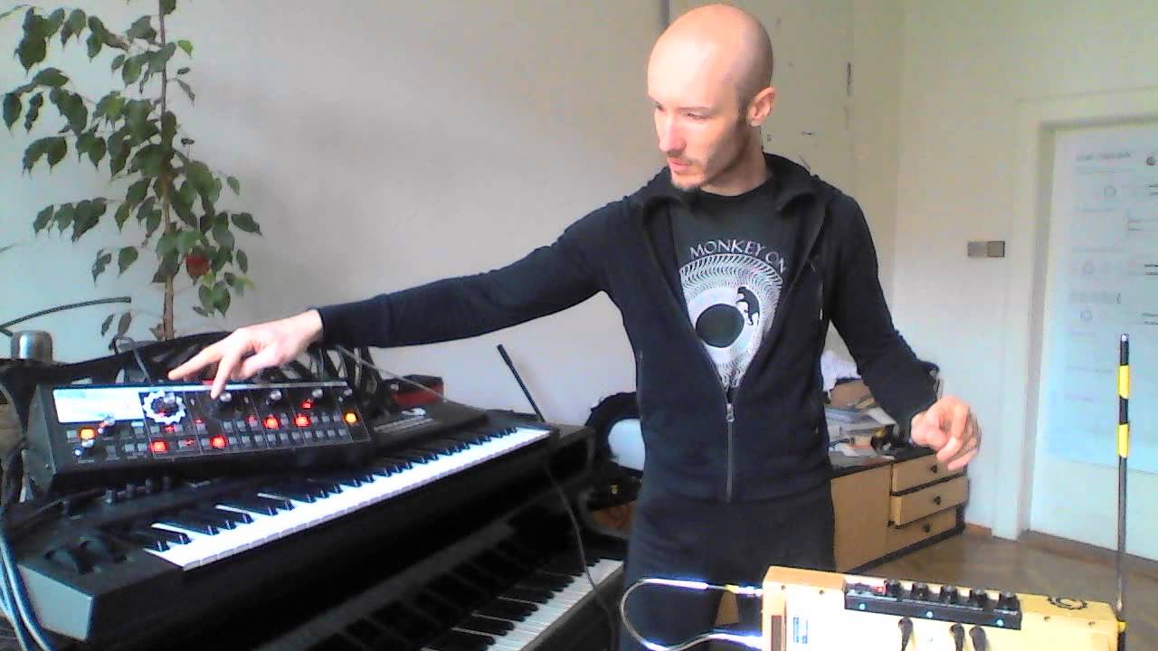 Theremin Etherwave Plus + Slim Phatty