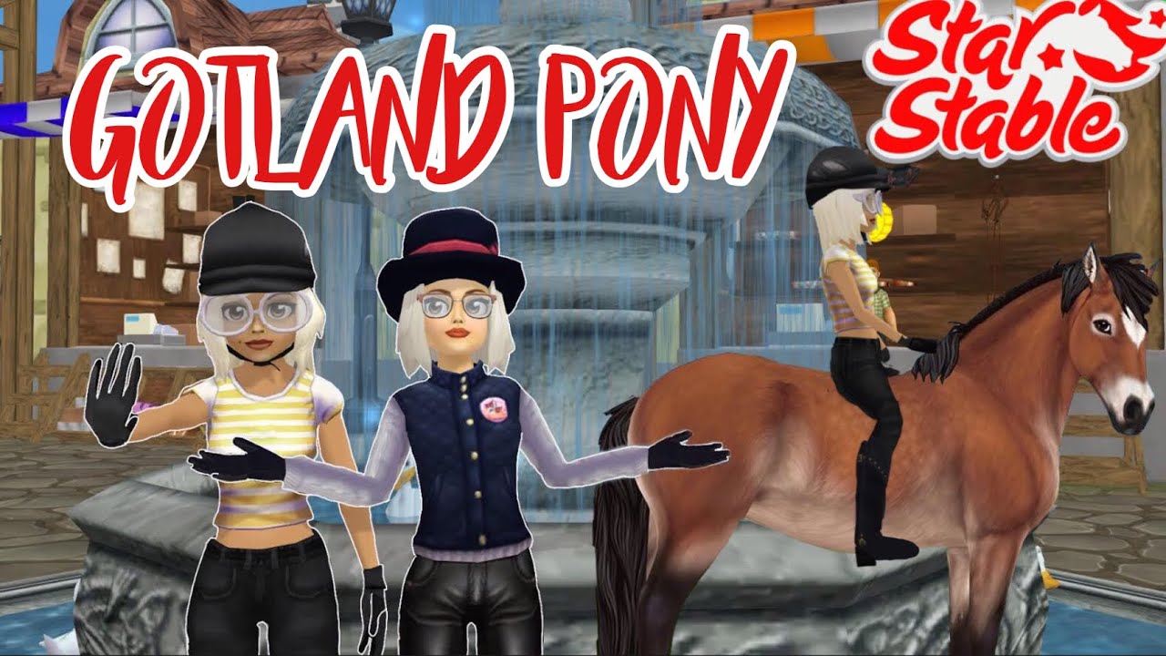 SSO ~ NEW GOTLAND PONY?!