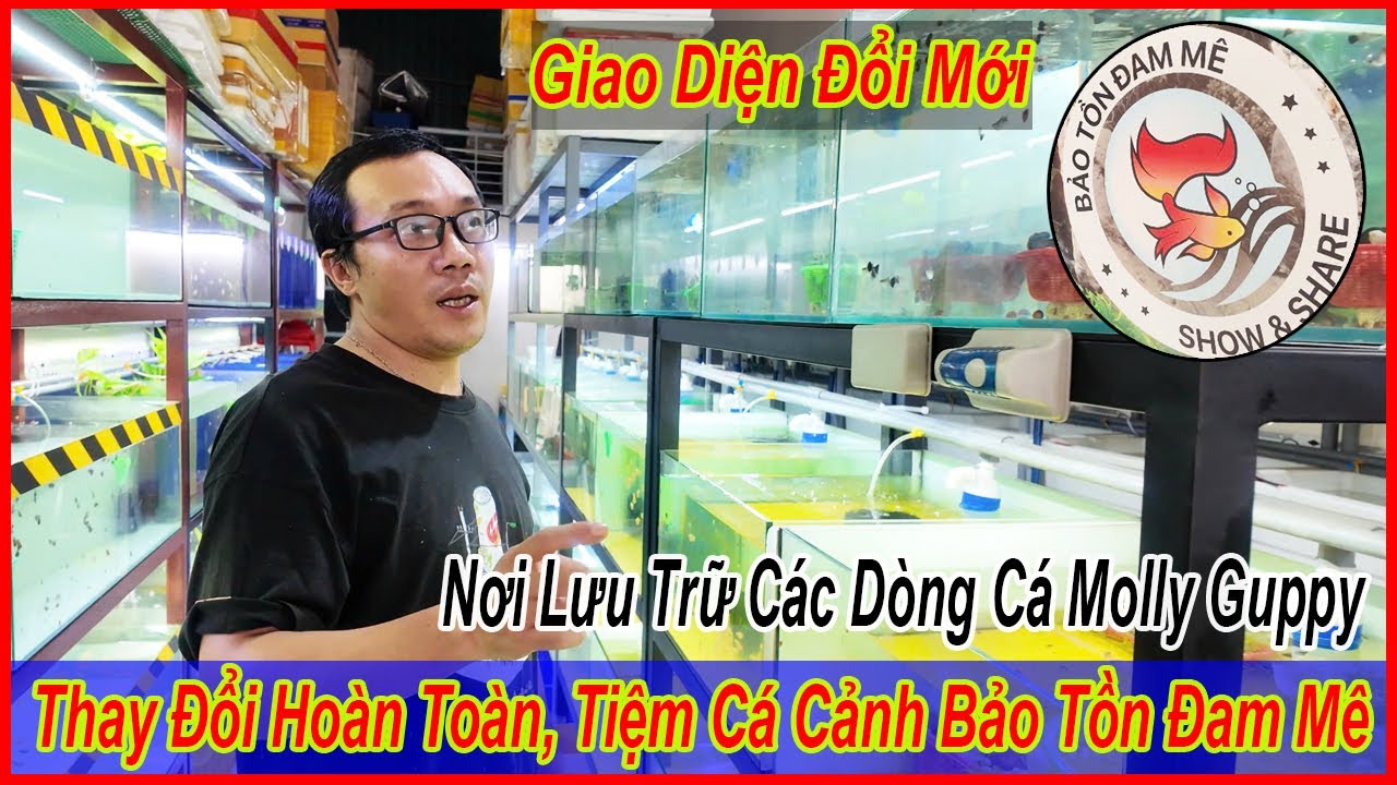 Nơi bảo tồn đam mê lột xác thành tiệm cá cảnh năm 2026