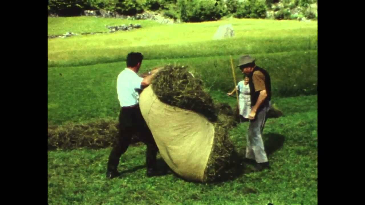 Tradizioni della Valposchiavo: la fienagione