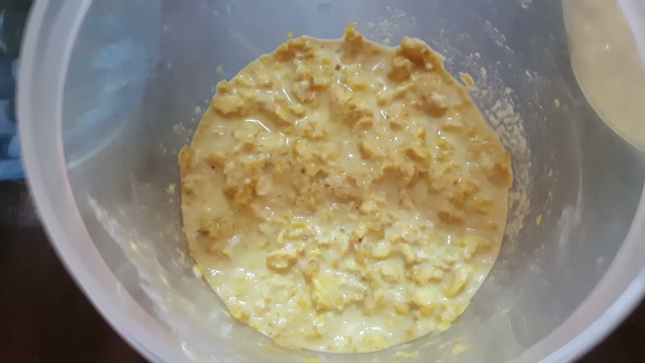 Эксперимент по разведению Гриндаля и Нематоды! Попробуем раскачать культуру! Будни аквариумов!
