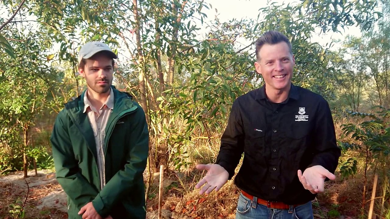 Oxley Creek Common: UQ research project with Dr John Dwyer