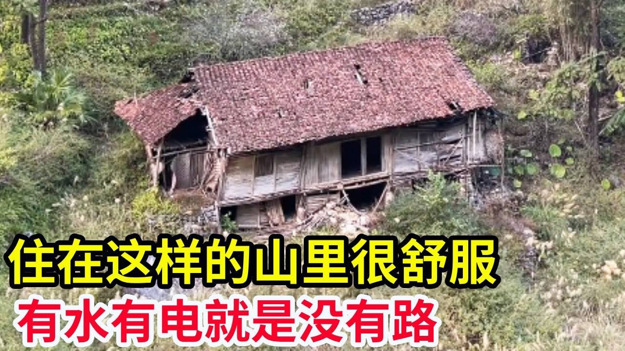 住在这样的山里很舒服，有水有电就是没有路，还有吃不完的土鸡土鸭！【山农乐哥】