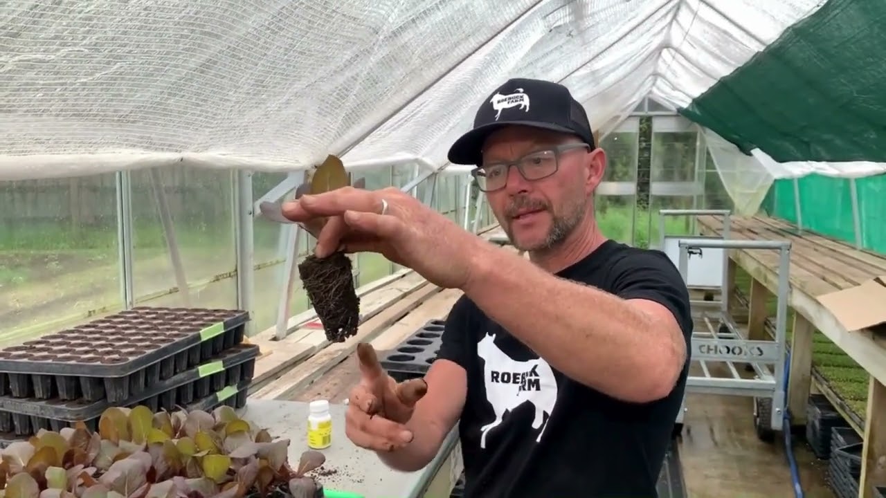 How we speed up propagation + optimise germination and seedling health at the same time