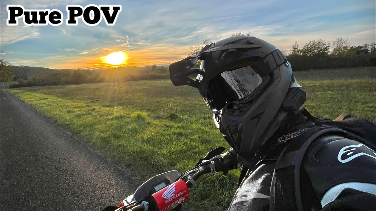 Arsouille sous le couché de soleil 😎🤩