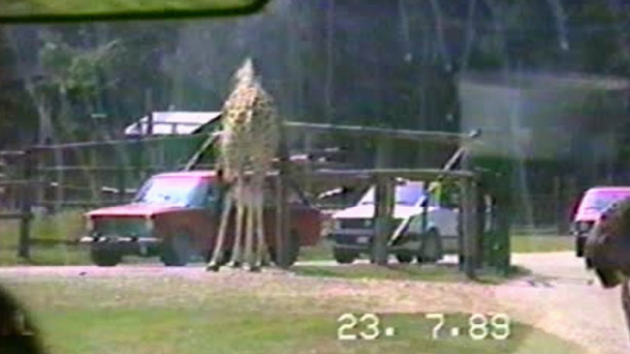 1989 Safaripark Gänserndorf Freigehege (Video8 rip)