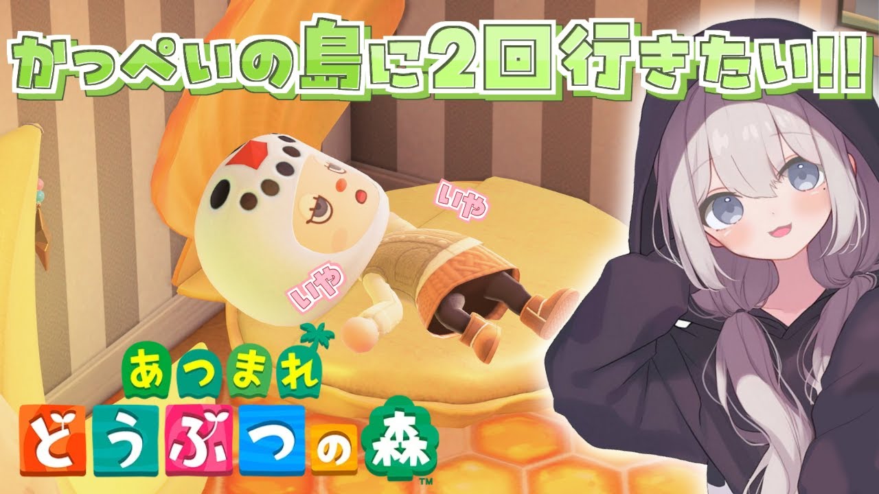 【#あつまれどうぶつの森 】かっぺい島に2回行けるの？！⛄🌳