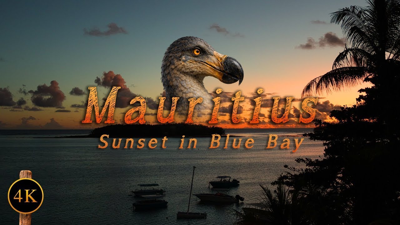 Mauritius Island, Blue Bay Sunset 🌅 Golden Light, Peaceful Evening & Tropical Ambience 🦇