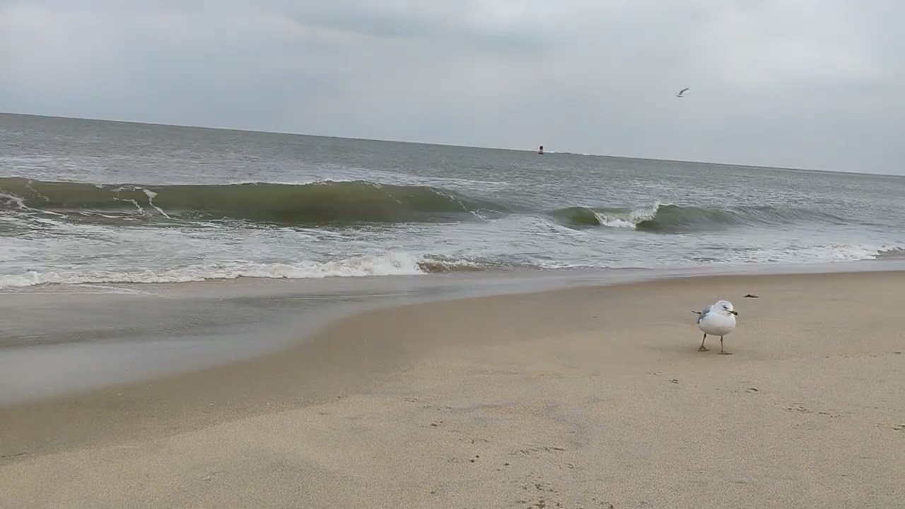 Cold and Windy day at the Beach Ocean City