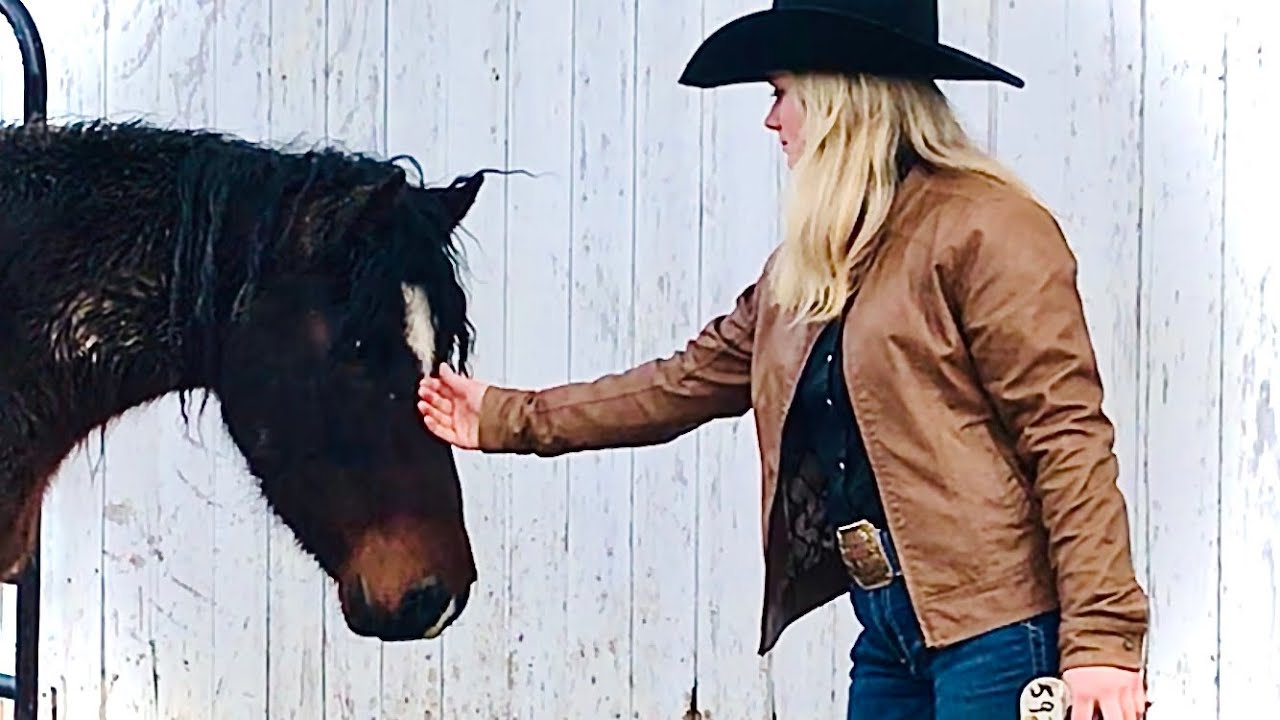 Trying to touch a WILD horse for the first time! Extreme Mustang Makeover 2021