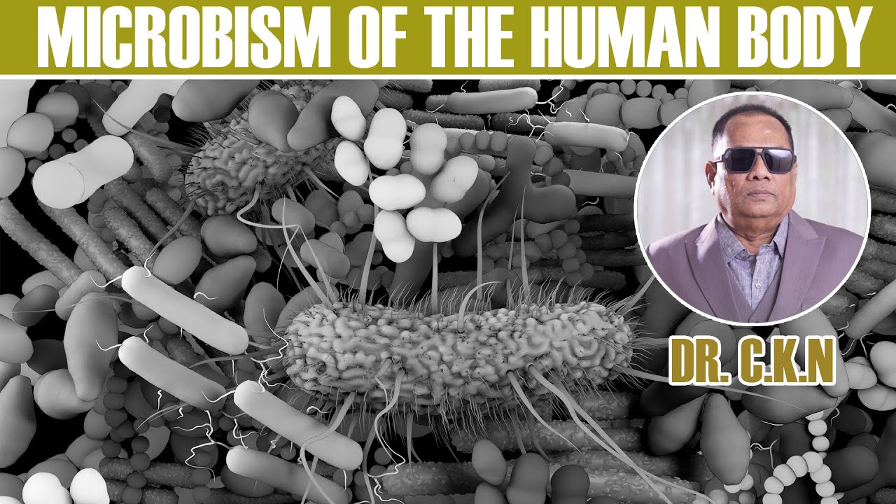 Microbes of the human body / CKN