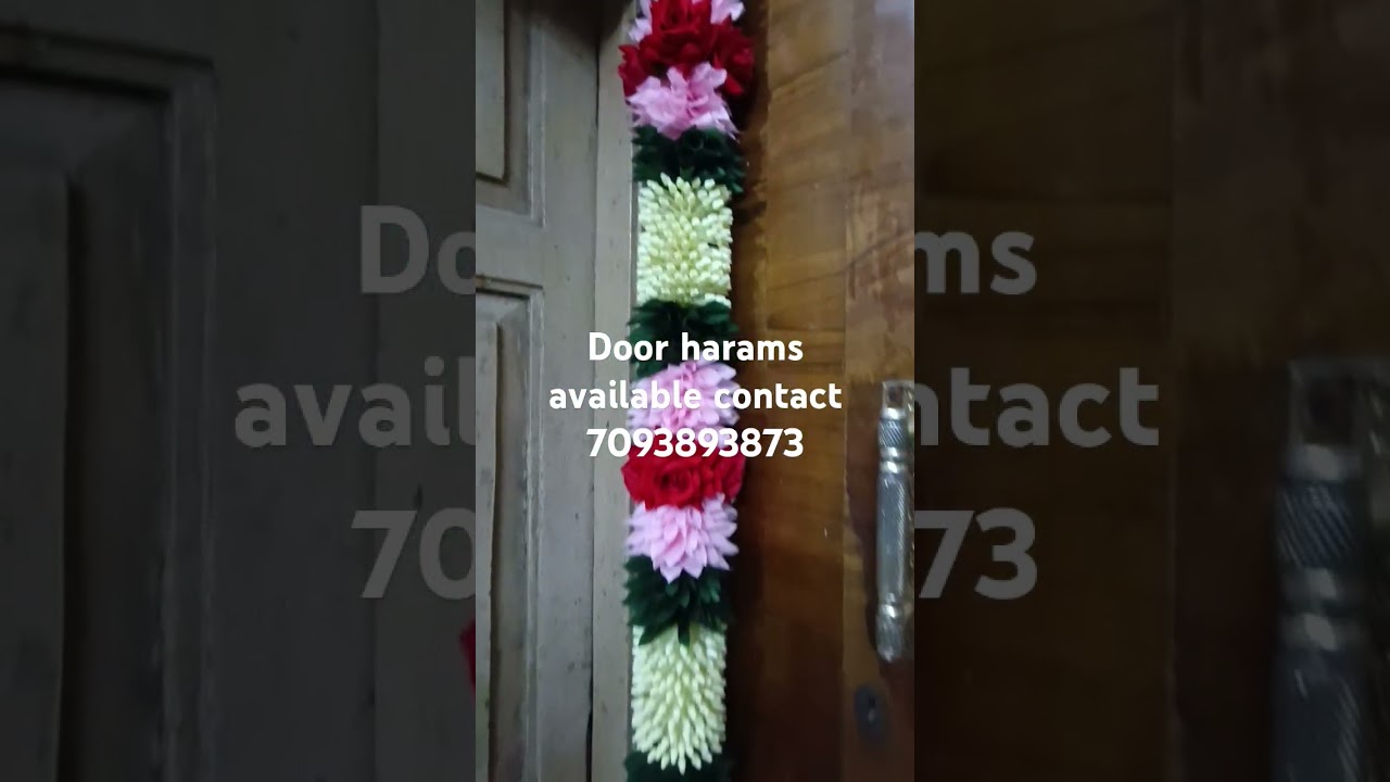 Daar malalu harams #doordecor #harams #ytshorts #shots #song