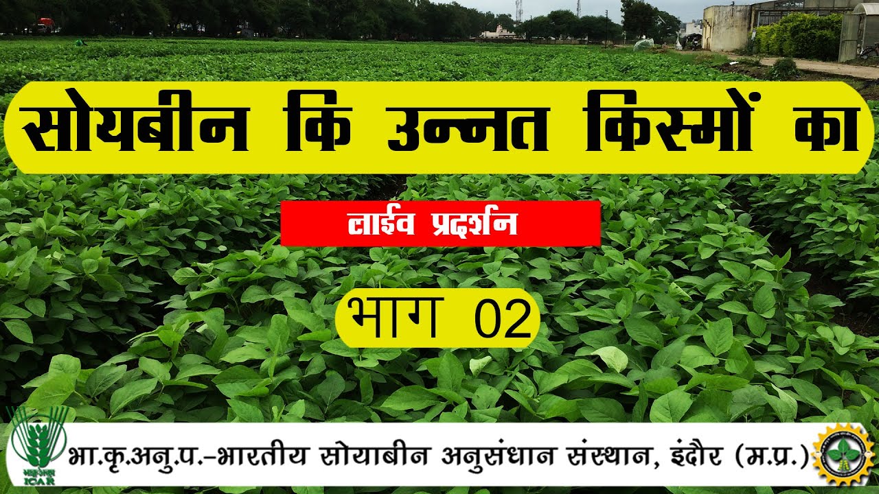 सोयाबीन कि उन्नत किस्मों का लाईव प्रदर्शन  (27.09.2021 Part-2)