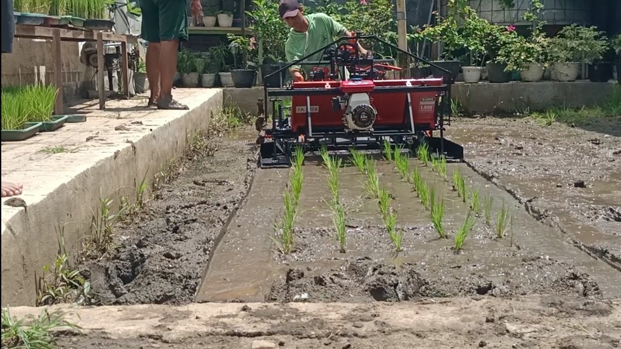 Uji coba mesin tanam Padi pengaman ke Wonogiri Jawa tengah