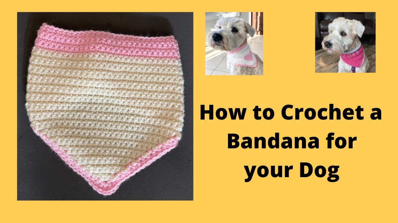 Dog Bandana: Learn How to Crochet