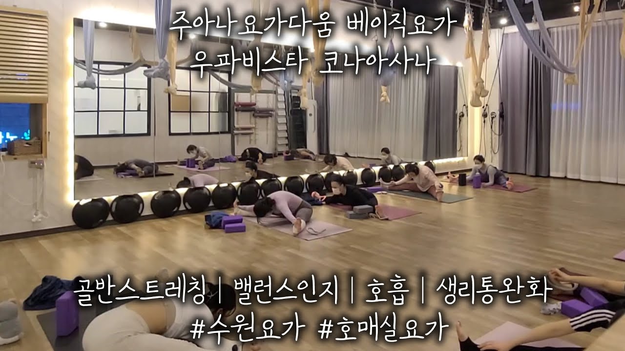 주아나요가다움 베이직요가 우파비스타 코나아사나골반스트레칭│밸런스인지│호흡│생리통완화 #수원요가 #호매실요가