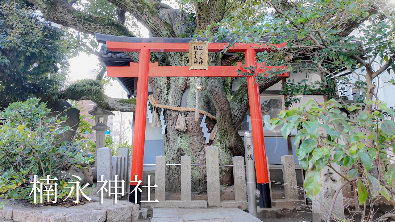 【楠永神社】静かな住宅街に佇む小さな神社｜Sacred Walk｜Tokyo Japan