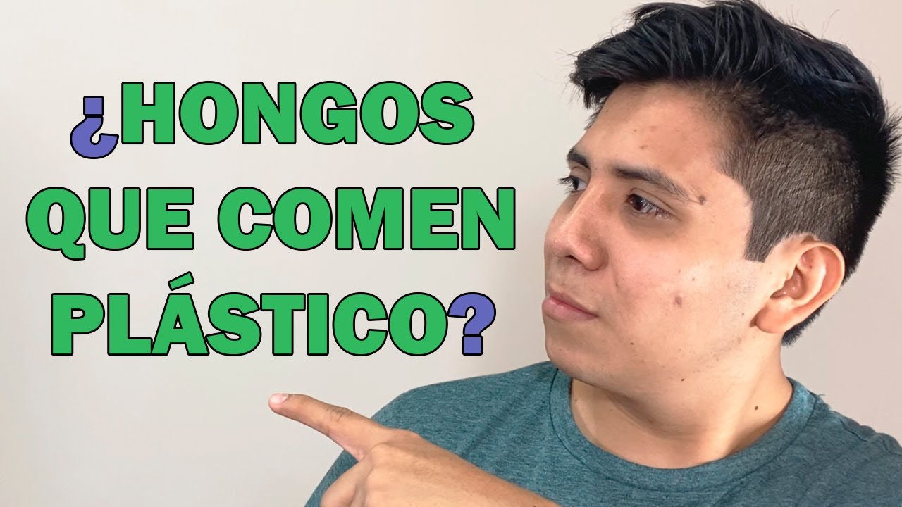 🍄 &iquest;Hongos que comen pl&aacute;stico? | Microbios degradantes de pl&aacute;stico