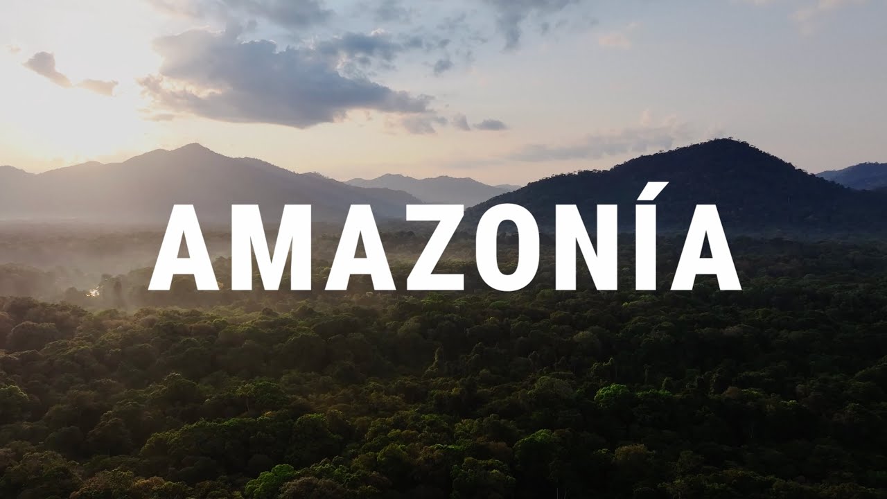 Tres equipos, tres países – una misión: conservar la Amazonía
