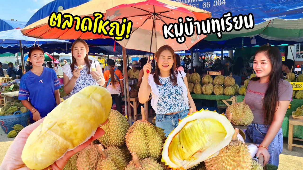 เริ่มแล้ว! ฤดูทุเรียน พากินทุเรียน ดูราคาทุเรียน ตลาดกลางเมืองอุตรดิตถ์