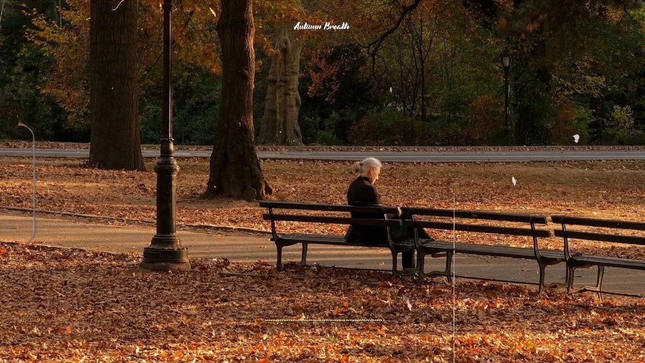 Autumn Energy 🍁  Warm Coffee Ambience for Study & Chill