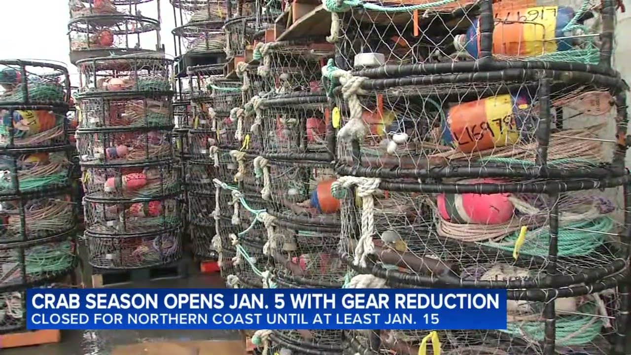 Date set for return of Bay Area's commercial Dungeness crab season: Here's when