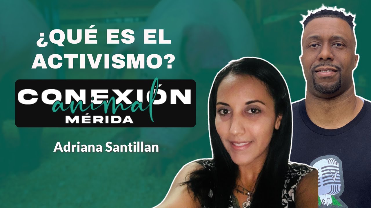 &iquest;Qu&eacute; Es El Activismo Conexi&oacute;n Animal M&eacute;rida? por Adriana Santillan | Roger Smith