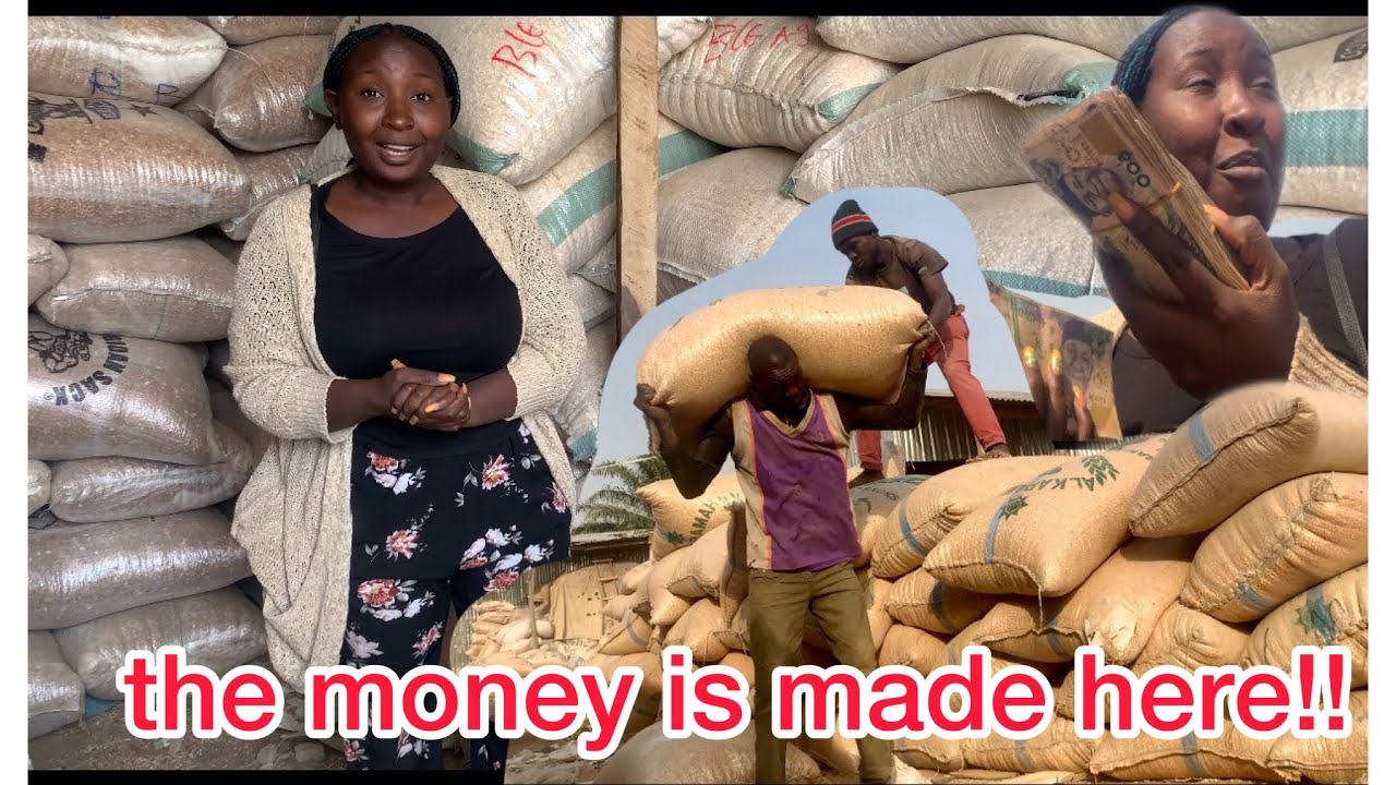 Agri-investment storage market || Beans market ||how to make money in agriculture storage business