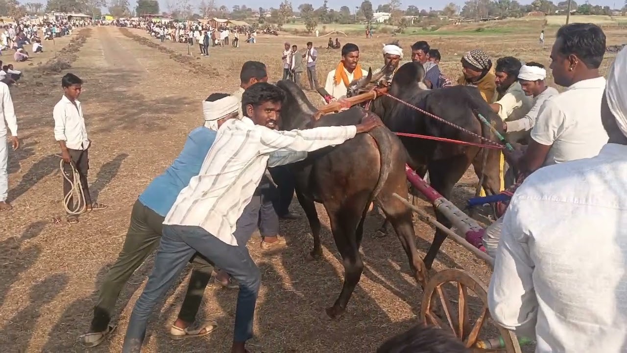 कानेगाव वाले की जोड़
