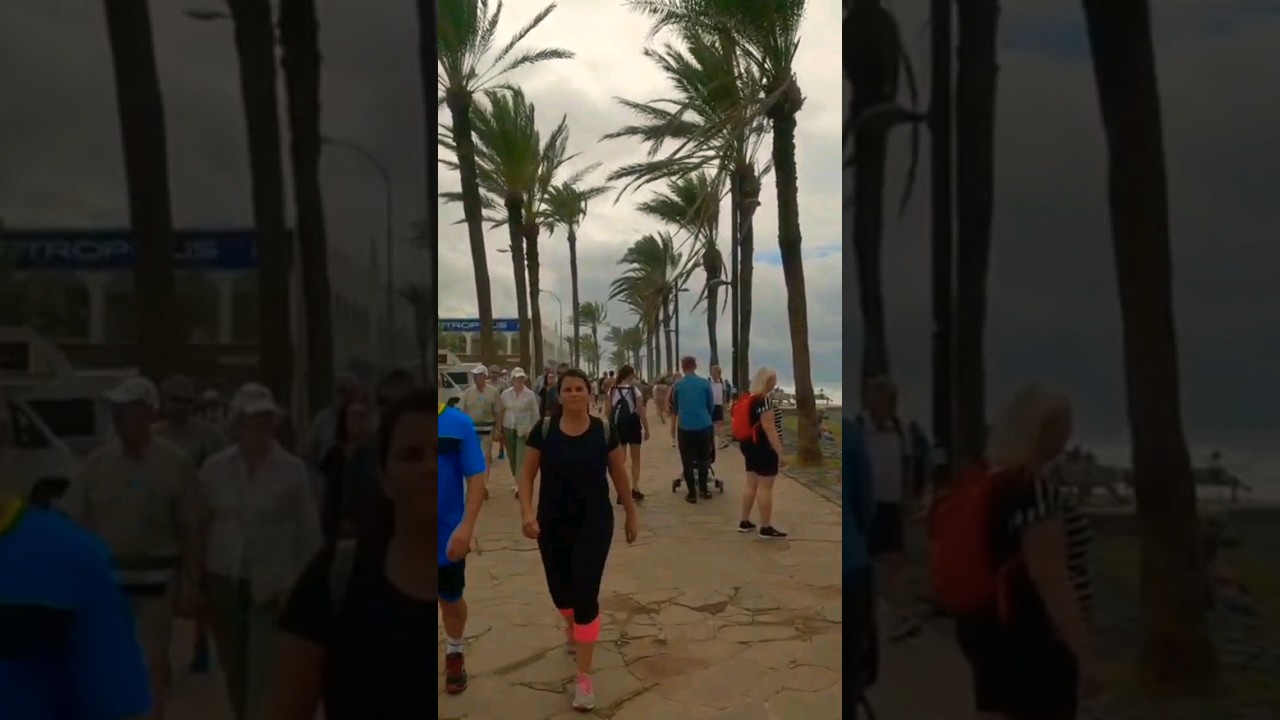 Walking Tour Tenerife Playa de Las Americas