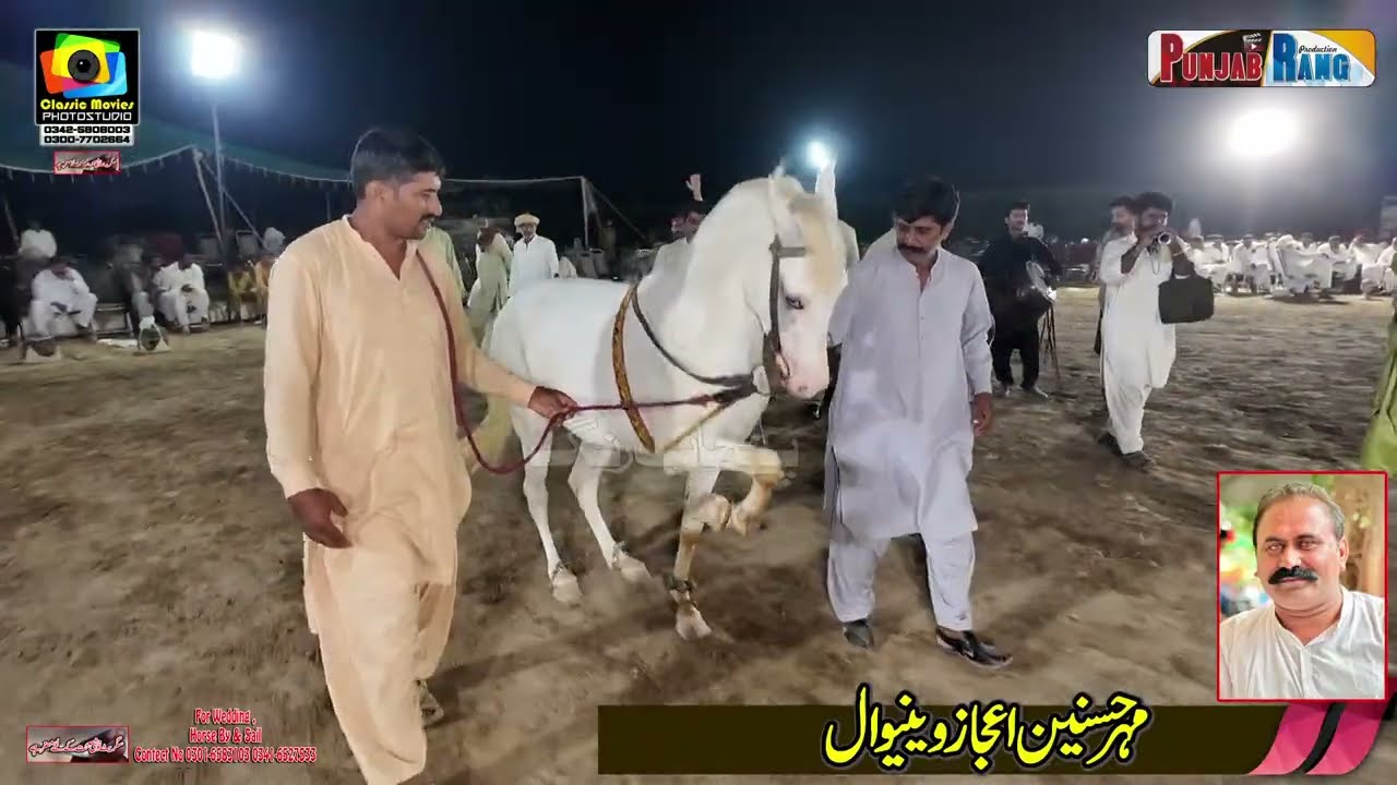 Naseeb l Haideri Prince l Horse Dance Chak No 551 Mehr Da Mamunkanjan l 25 September 2025
